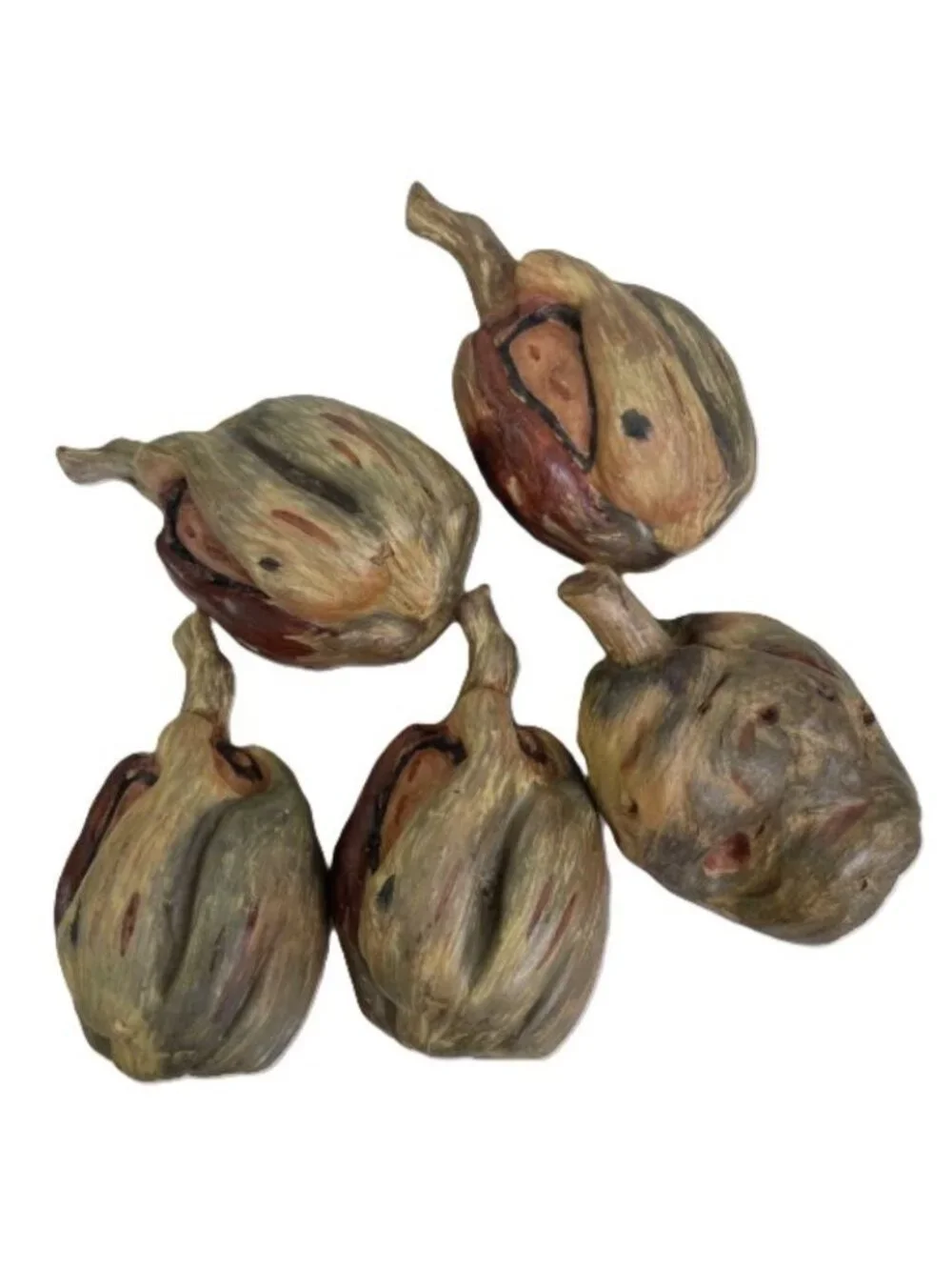 Autumn Gourd Pumpkin or Seed Pod Nature Decoration Faux Wood 5 Pc